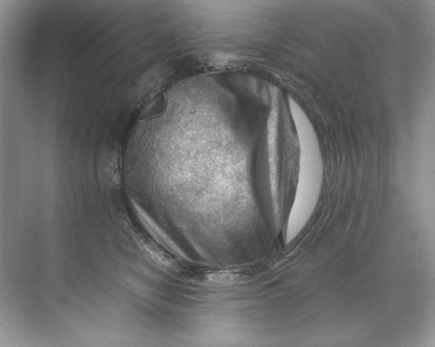 X0000071760470200607220014