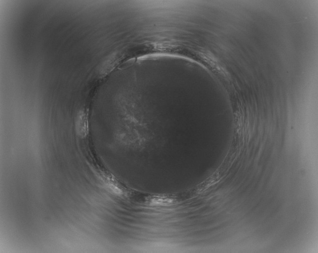 X0000071760471200607220014