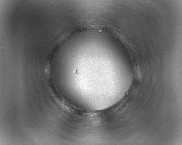 X0000071760472200607220014