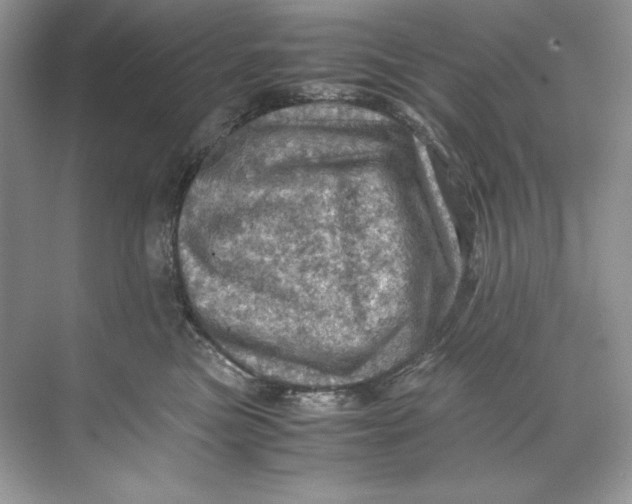 X0000071760473200607220014