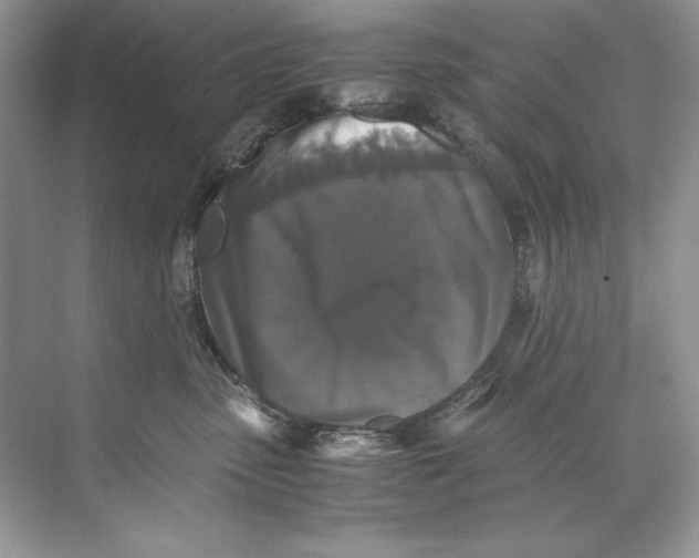 X0000071760475200607220014