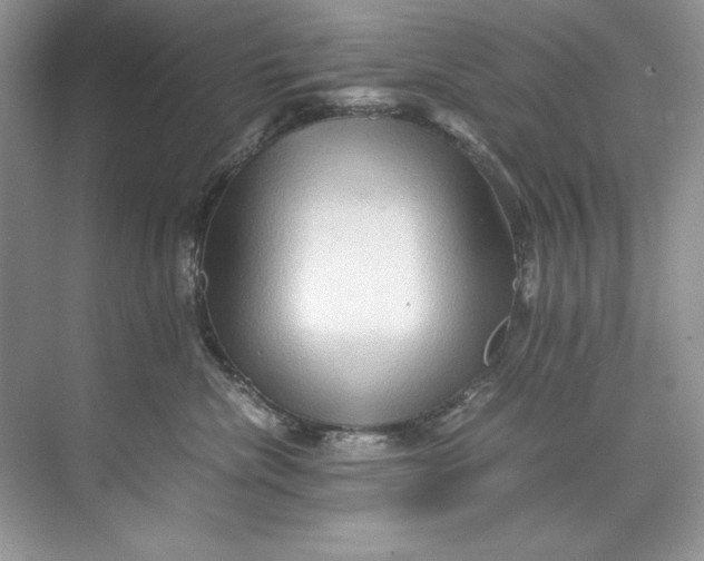 X0000071760476200607220014