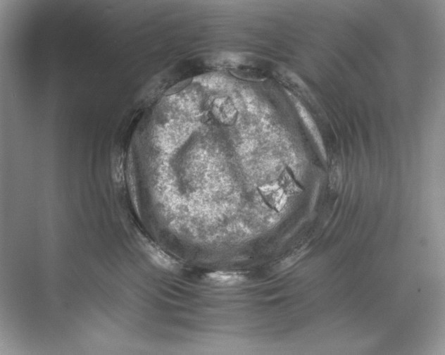 X0000071760477200607220014