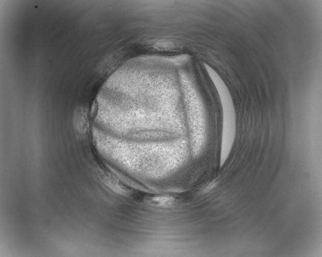 X0000071760478200607220014