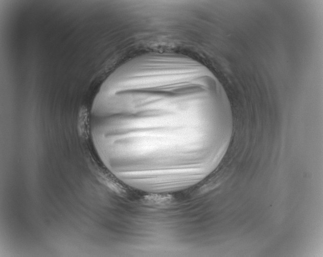 X0000071760480200607220014