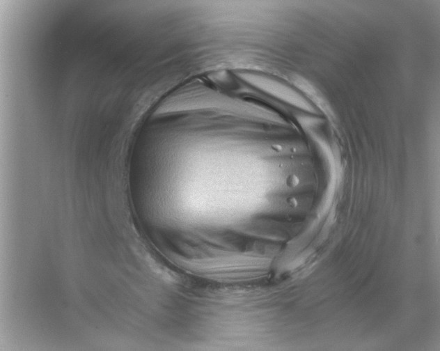 X0000071760481200607220014