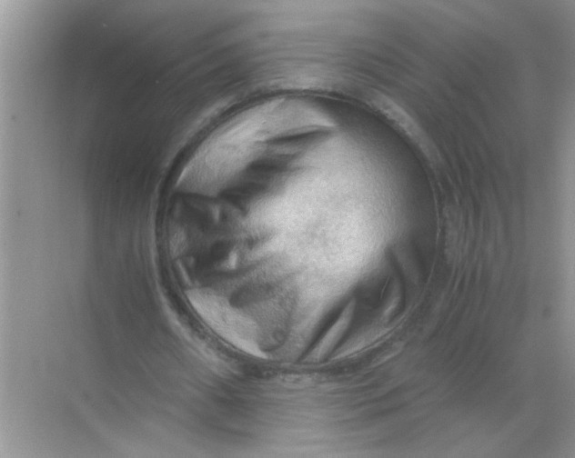 X0000071760482200607220014