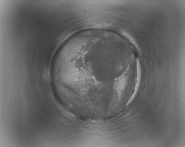 X0000071760483200607220013