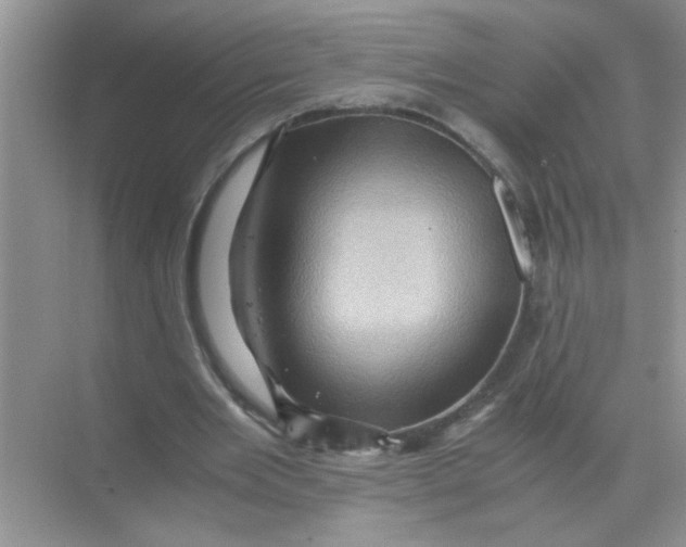 X0000071760485200607220013