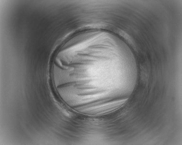 X0000071760486200607220013