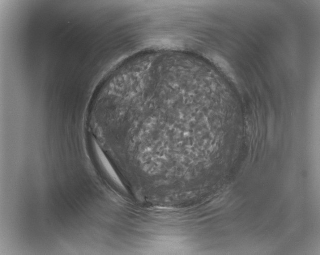 X0000071760487200607220013