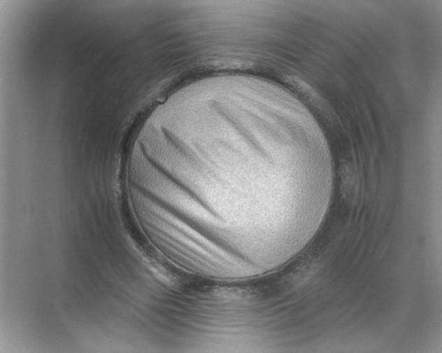 X0000071760490200607220013