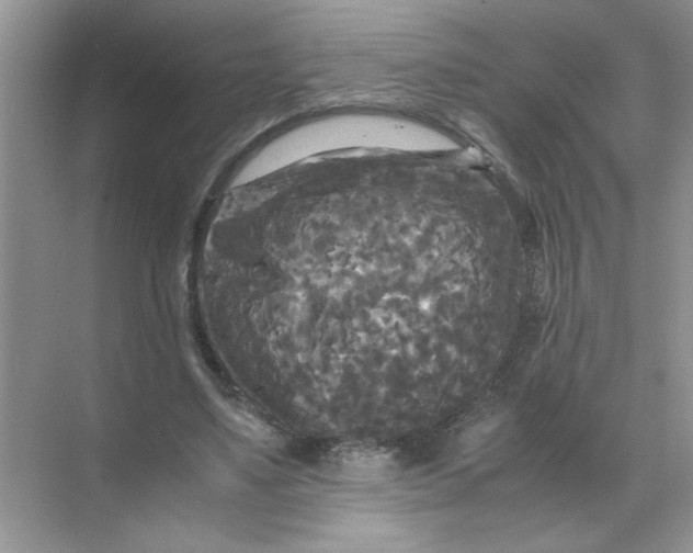 X0000071760491200607220013