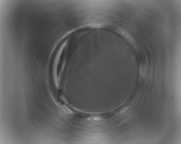 X0000071760492200607220013