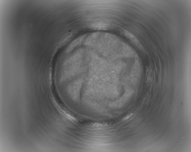 X0000071760494200607220013