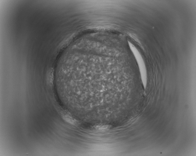 X0000071760495200607220013