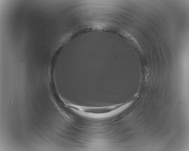 X0000071760496200607220013