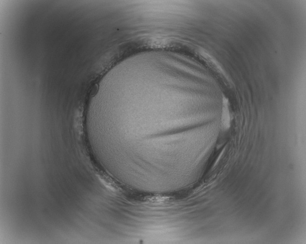 X0000071760497200607220013