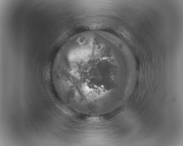 X0000071760499200607220013