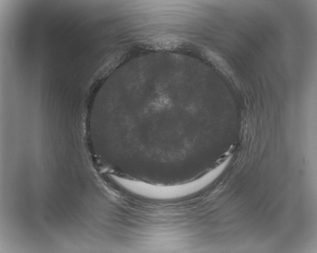 X0000071760501200607220013