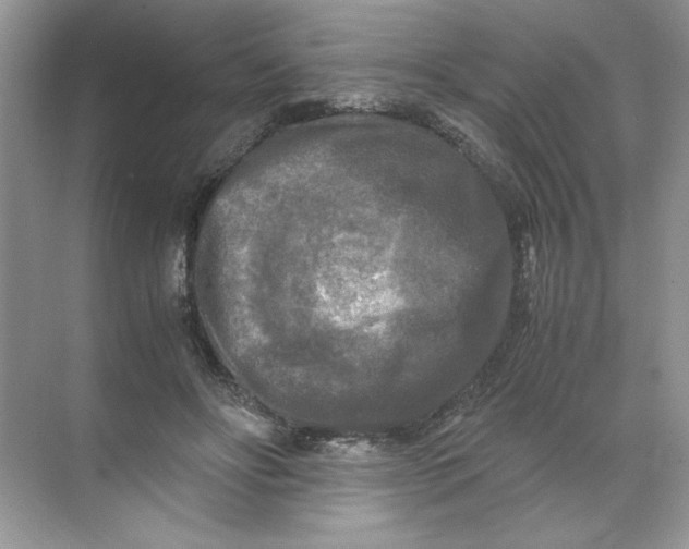 X0000071760502200607220013