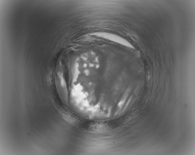 X0000071760503200607220013