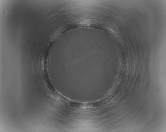 X0000071760504200607220013