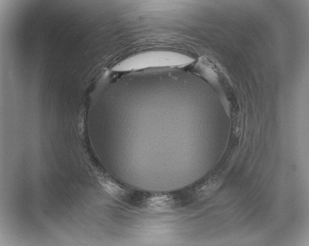 X0000071760505200607220013