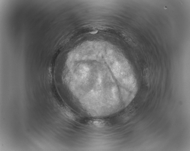 X0000071760506200607220013