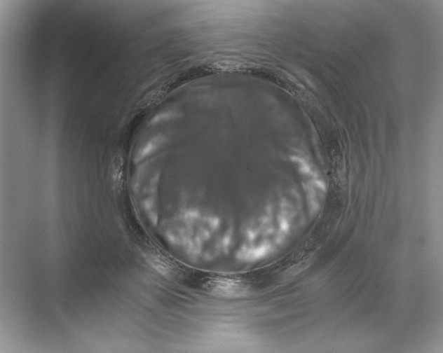 X0000071760507200607220013