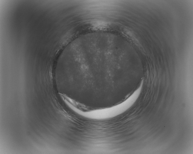 X0000071760508200607220013