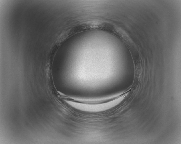 X0000071760509200607220013