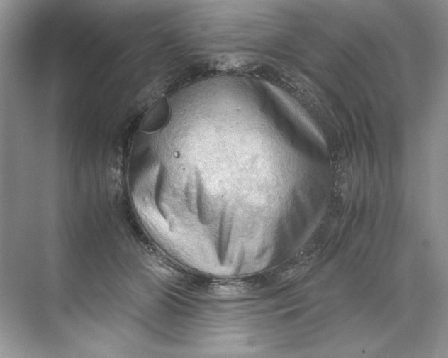 X0000071760510200607220013