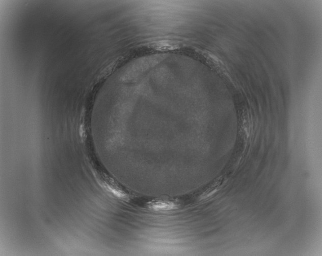 X0000071760512200607220013