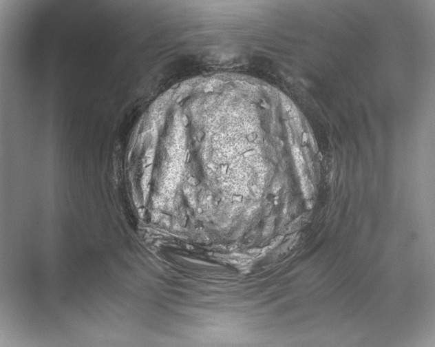 X0000071760515200607220013