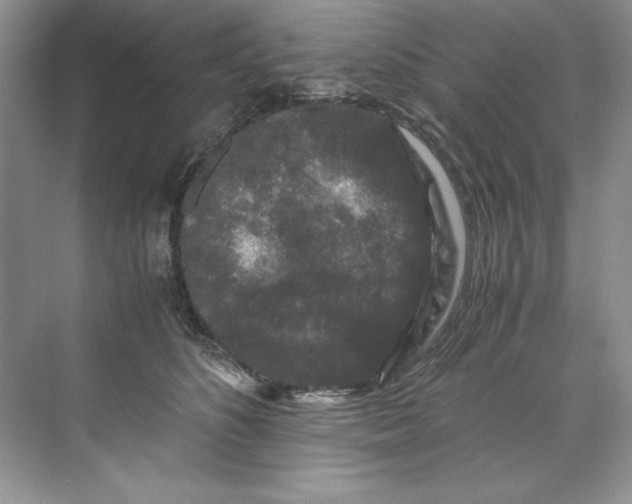 X0000071760516200607220013