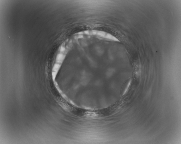 X0000071760519200607220013