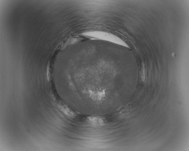 X0000071760520200607220013