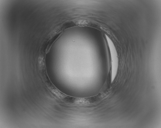 X0000071760521200607220013