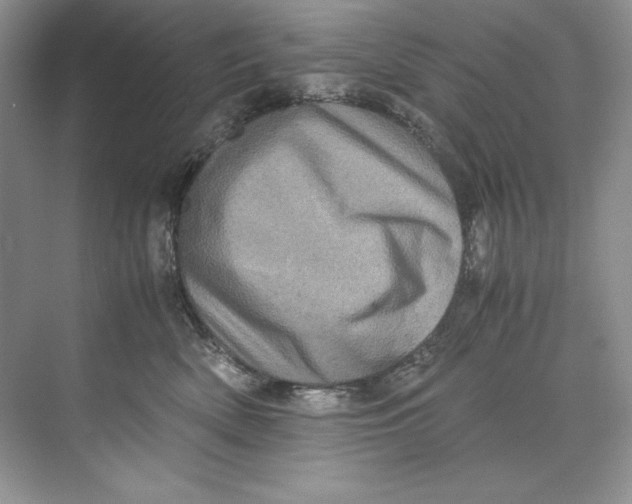 X0000071760522200607220013