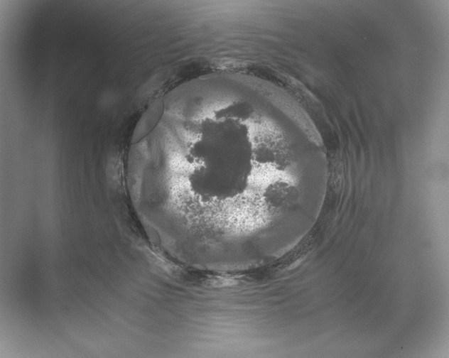 X0000071760523200607220013