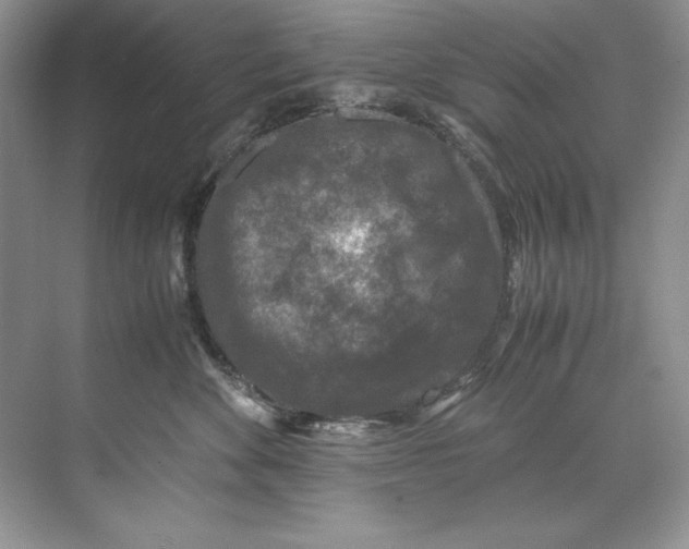 X0000071760524200607220013