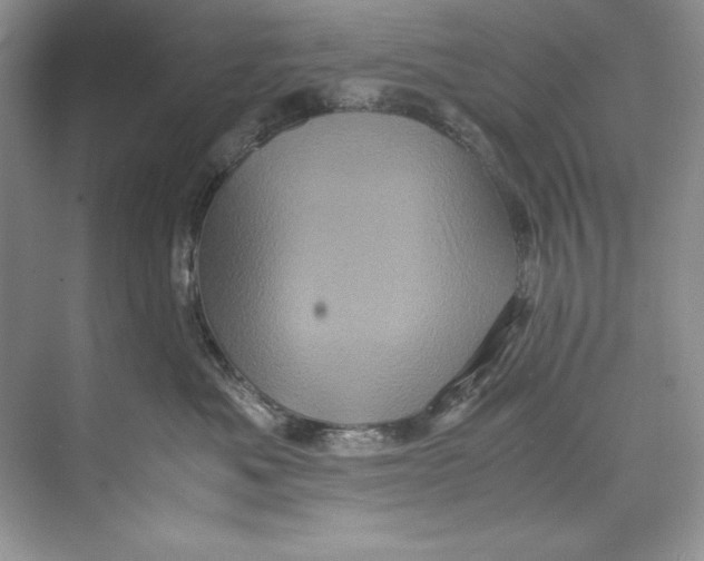 X0000071760525200607220013