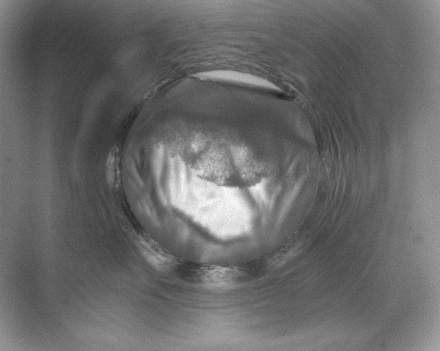 X0000071760527200607220013