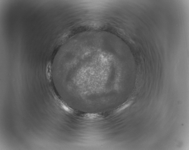 X0000071760528200607220013