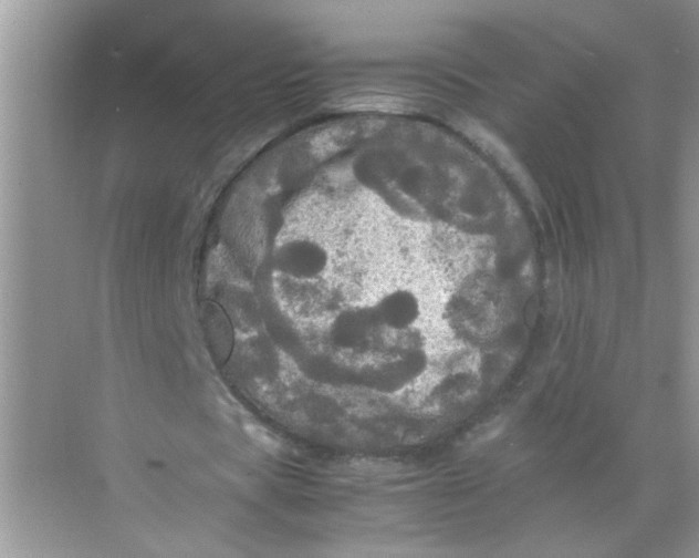 X0000071760529200607220012