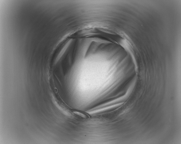 X0000071760530200607220012