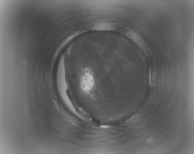 X0000071760531200607220012