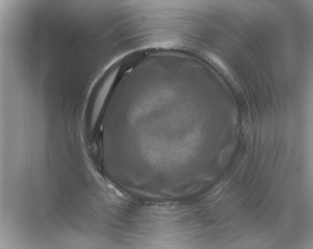 X0000071760532200607220012