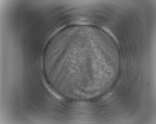 X0000071760533200607220012